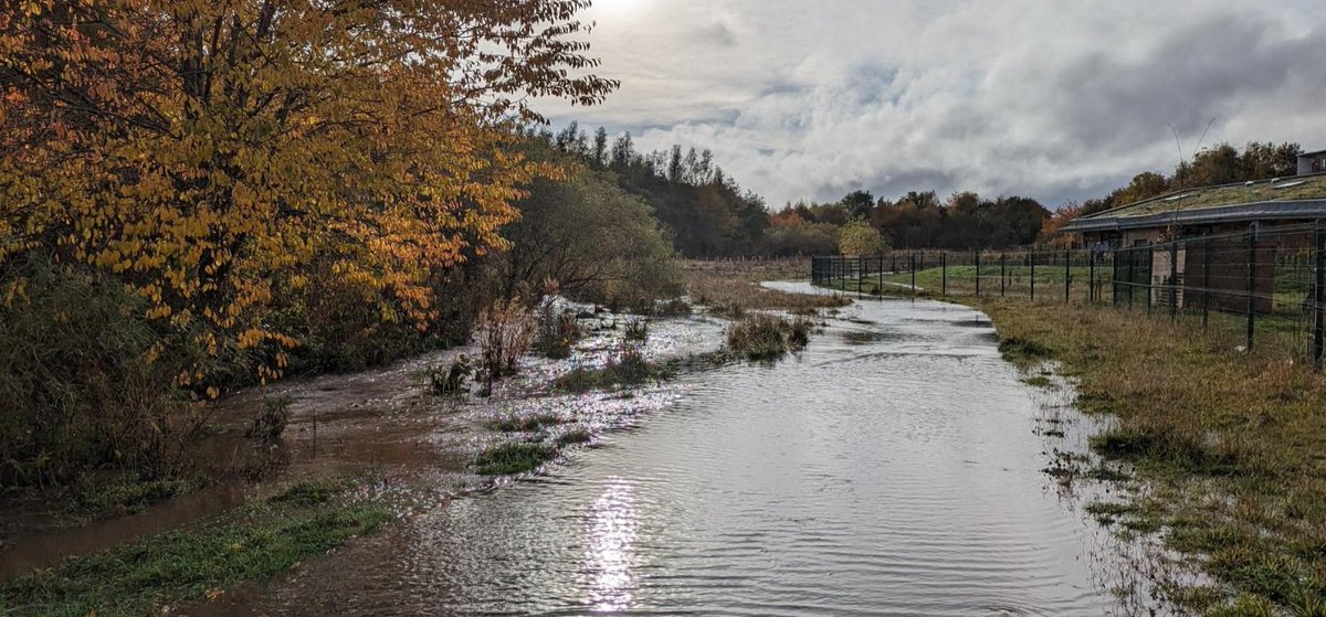 FBBVP Autumn 2023 Newsletter - read a round-up of latest news about the Park and find out about the new Blue-Green project to restore sections of the Burdiehouse Burn to be funded by Nature Scot and SEPA - mailchi.mp/ec47a7036a2e/f…