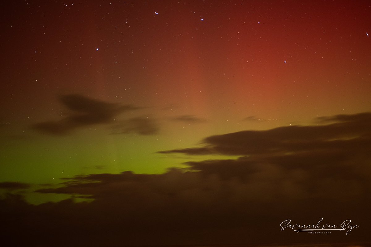 RijnSavannah's tweet photo. Noorderlicht 
📍 Egmond aan Zee

Met op de laatste foto het treintje van Musk door het noorderlicht. 

#noorderlicht #aurora #Auroraborealis #egmond #egmondaanzee https://t.co/I7OtF4k35E