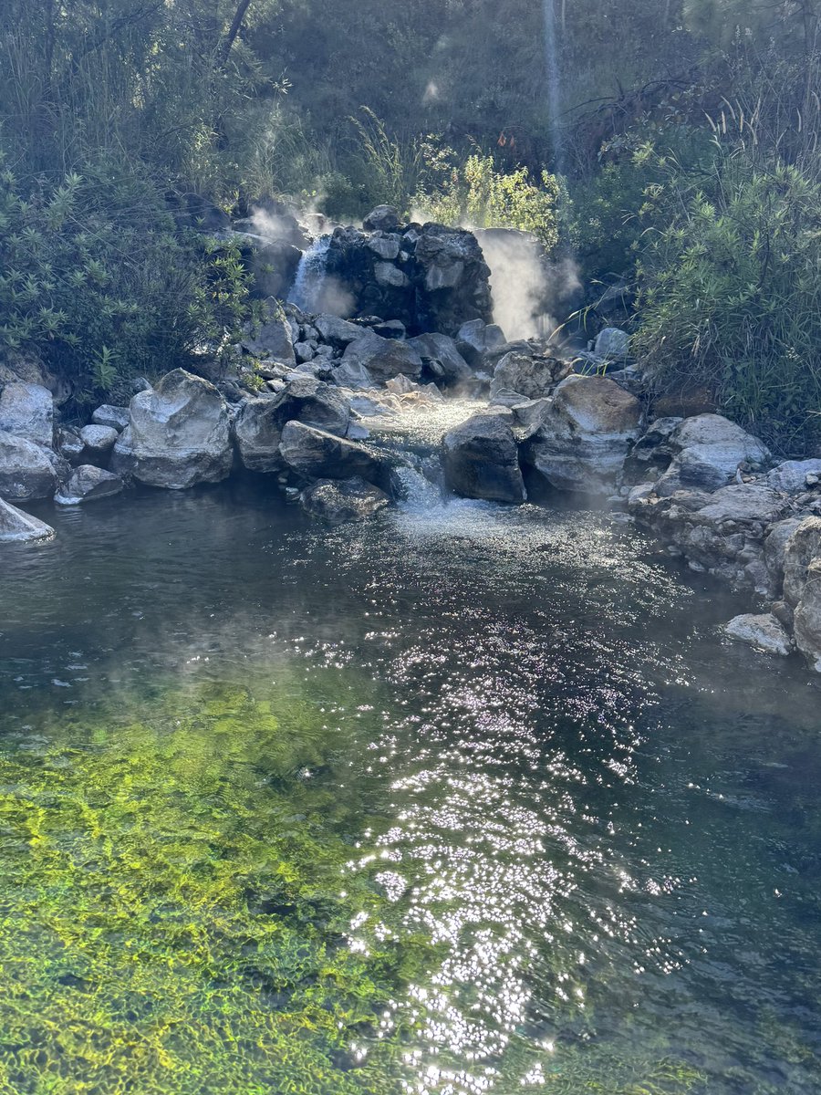 IvanJValentin's tweet photo. Hiking time! 🥾🏞️ Beautiful experience at Bosque de la Primavera! 🌳🦦🌲 Nice adventure led by the ATThletes program #LifeAtATT https://t.co/eLIJxICvsH