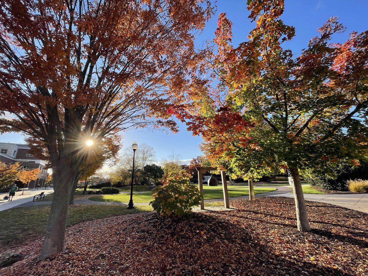 BloomsburgU's tweet photo. Fall Bloom ๐ฏ๐ค๏ธ๐๐๐พ #HuskyLife #FallInPA #BloomOnward #November #autumn #campus #views https://t.co/gtyp0ke5WM