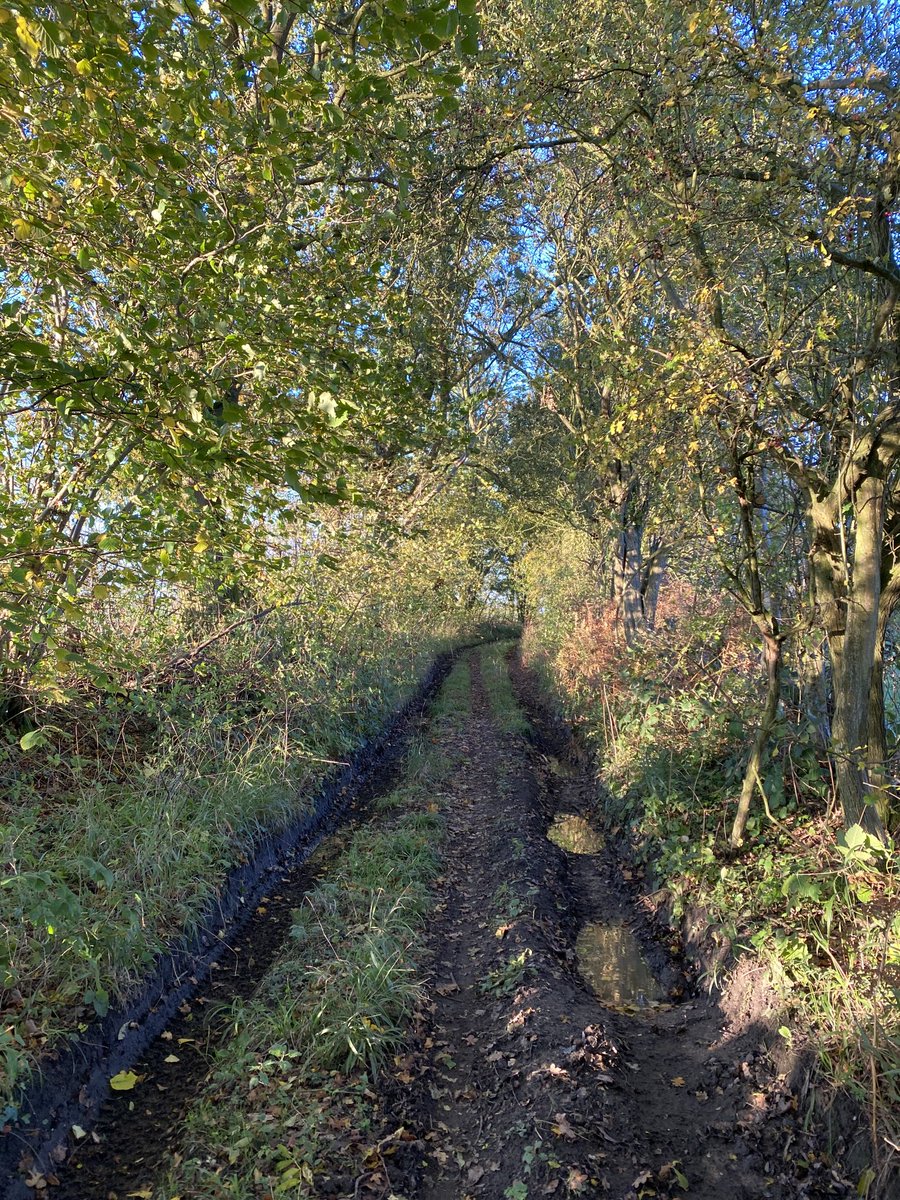 Watery Lane near Heydon, Norfolk #Heydon #Norfolk