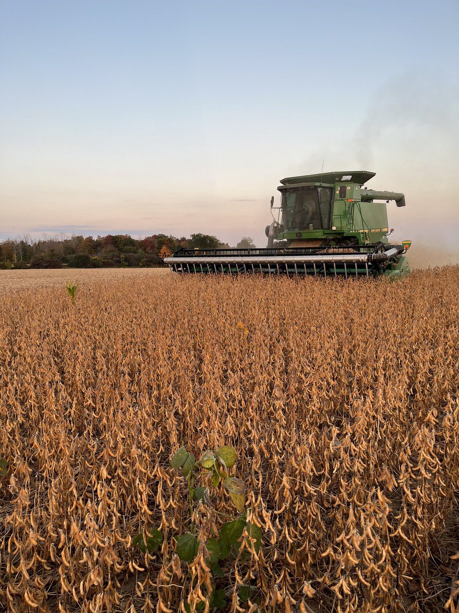 Farm life is the best life!😁💛 #harvesttime #Ontag #fun