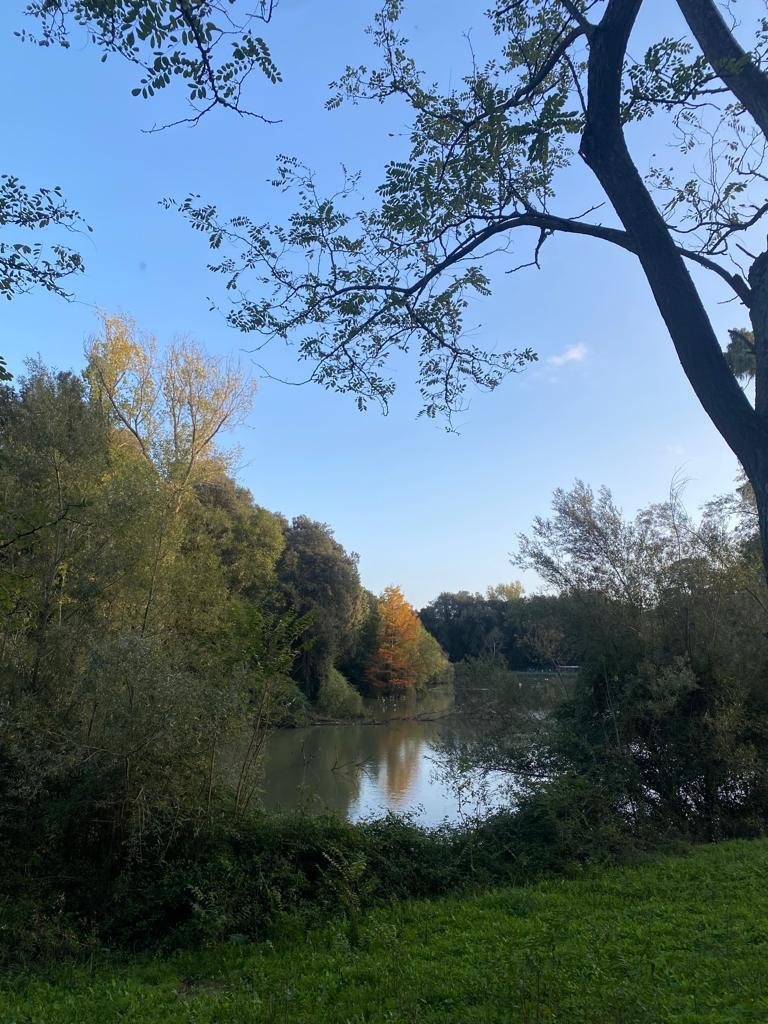 Il sorriso di novembre. Villa Pamphili, Roma