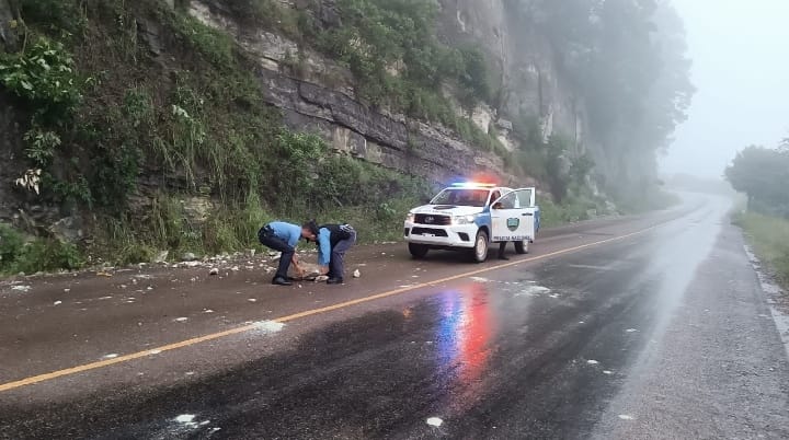 PoliciaHonduras's tweet photo. #ServirYProteger👮🚔
Con el objetivo de prevenir cualquier tipo de accidentes viales, funcionarios policiales asignados a la #UDEP12 brindan seguridad vial en la Carretera CA-7 en el departamento de #LaPaz
#MásCercaDeTi #PolicíaNacional https://t.co/ev0RgvS3xh