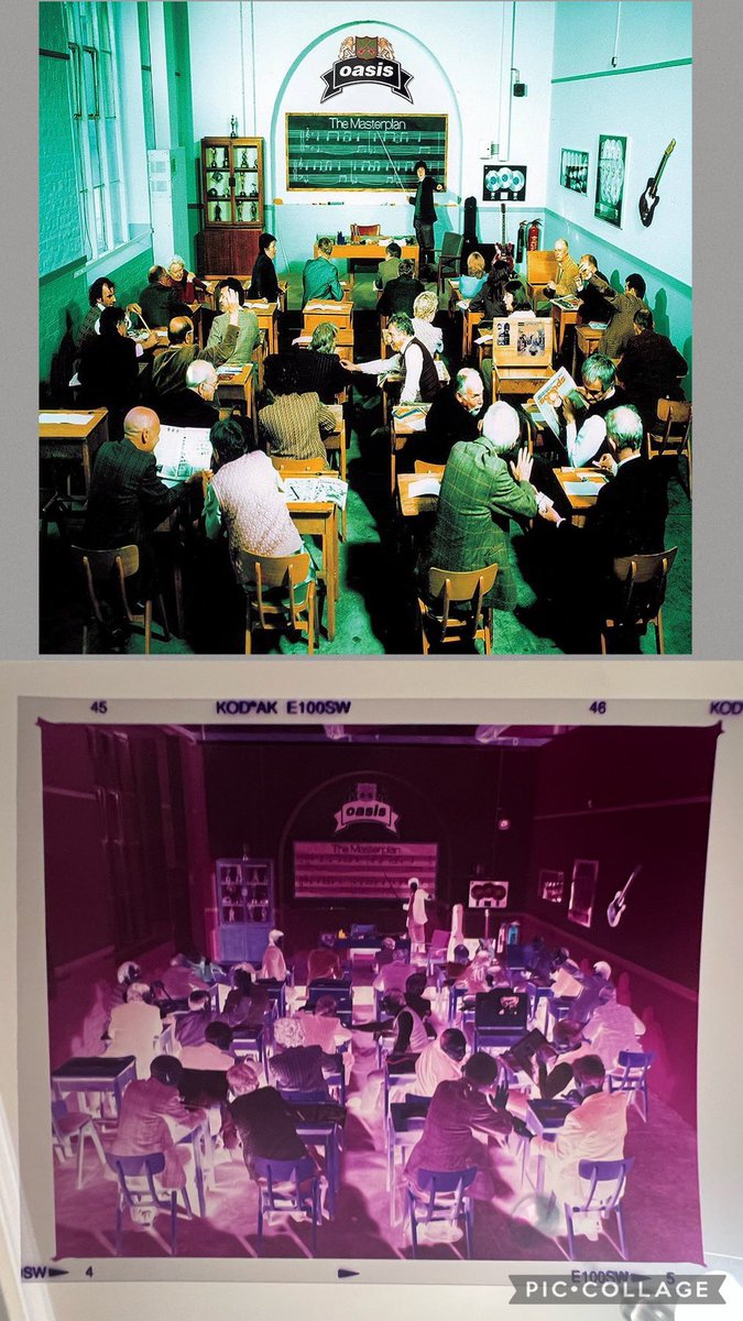 OasisDNA tweet media