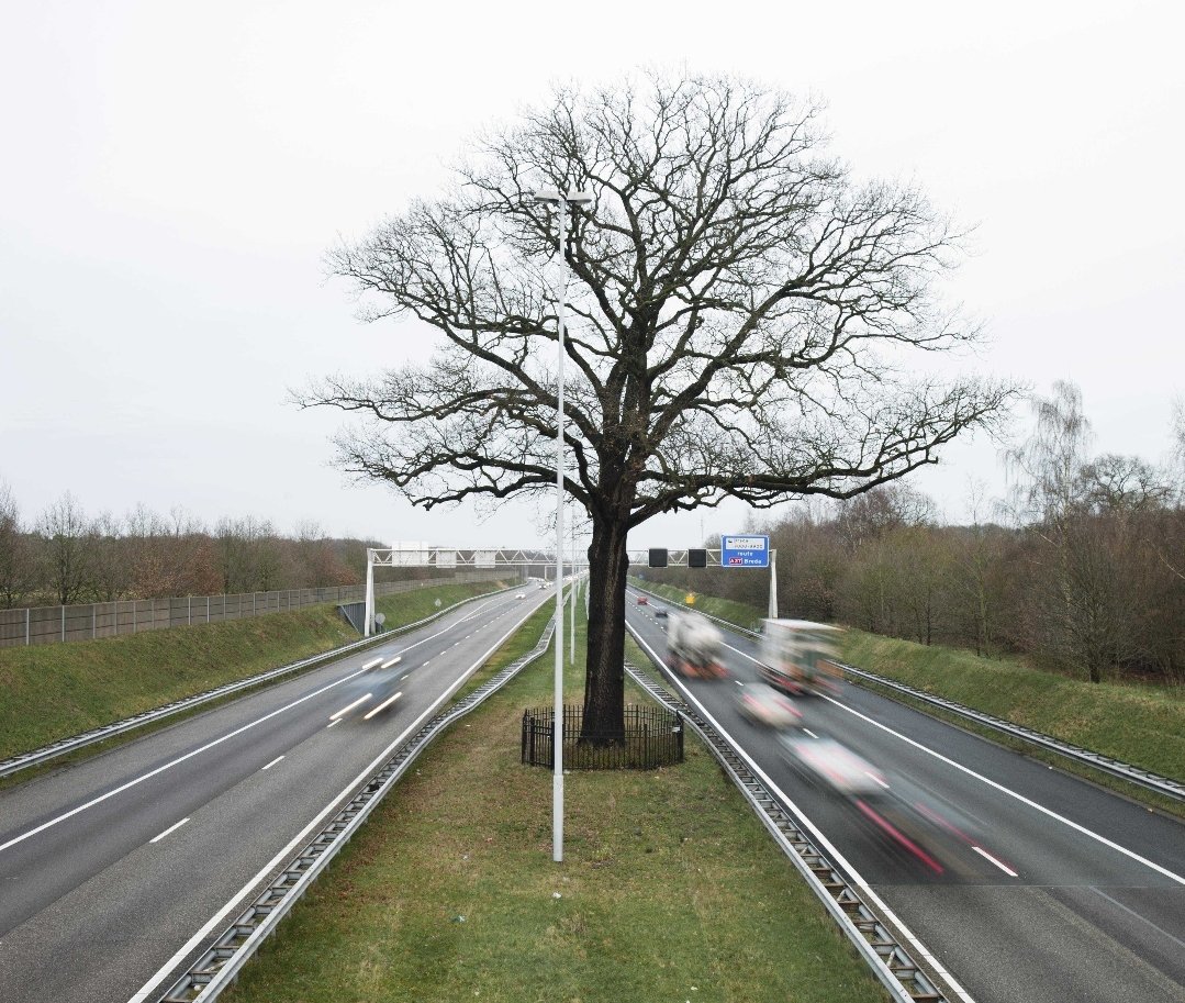 Marjon Griffioen tweet media