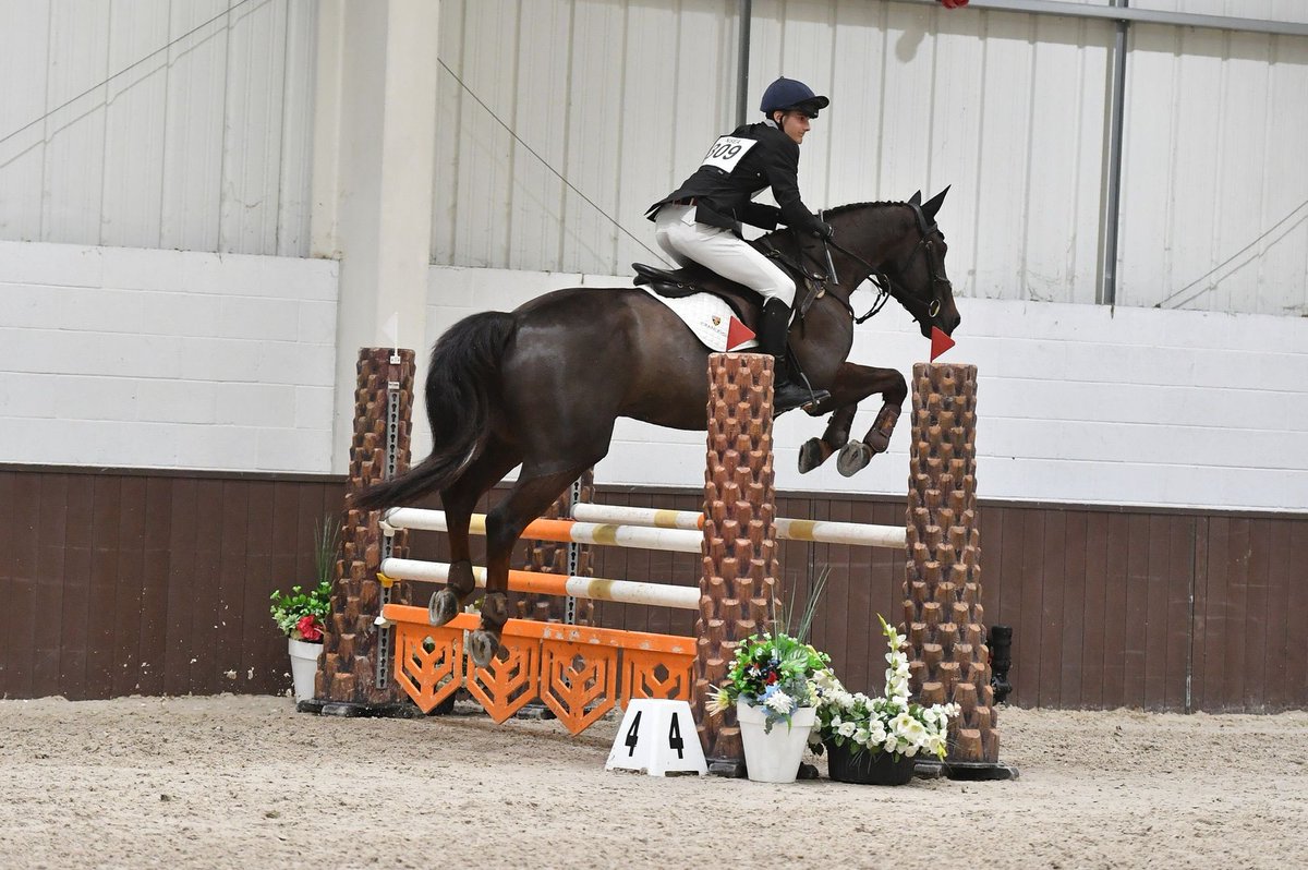 CranEquestrian's tweet photo. Well done Rory @NorthHouseCran Tara @MartletHouse Madeleine @Cranleigh_South @cranleighschool @CranleighSport Surrey County Open SJ Champions. https://t.co/t5PPh6jMaG