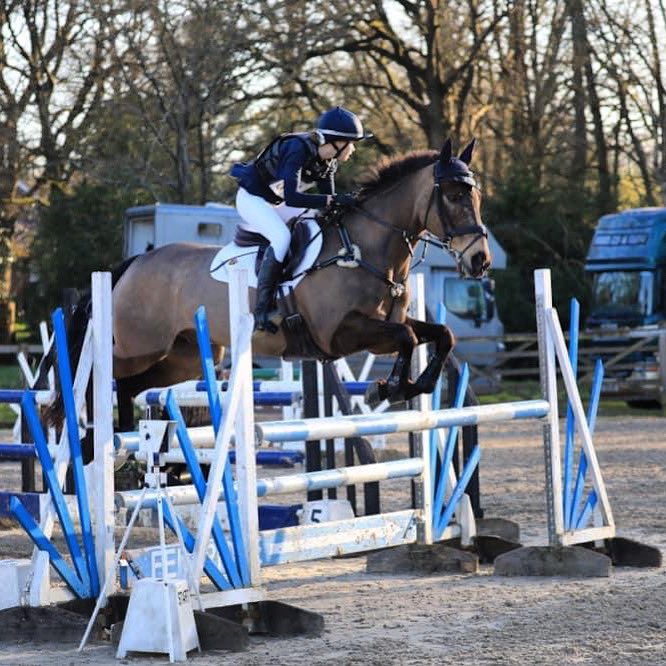 CranEquestrian's tweet photo. Well done Rory @NorthHouseCran Tara @MartletHouse Madeleine @Cranleigh_South @cranleighschool @CranleighSport Surrey County Open SJ Champions. https://t.co/t5PPh6jMaG