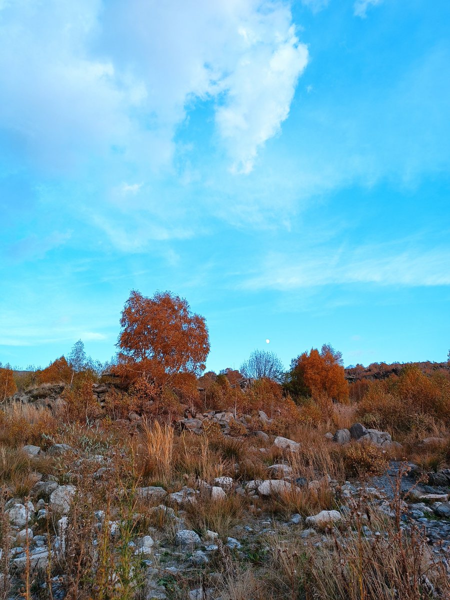 Sonbahar 🍁🍂 Nemrut krater gölü #nemrut #tatvan