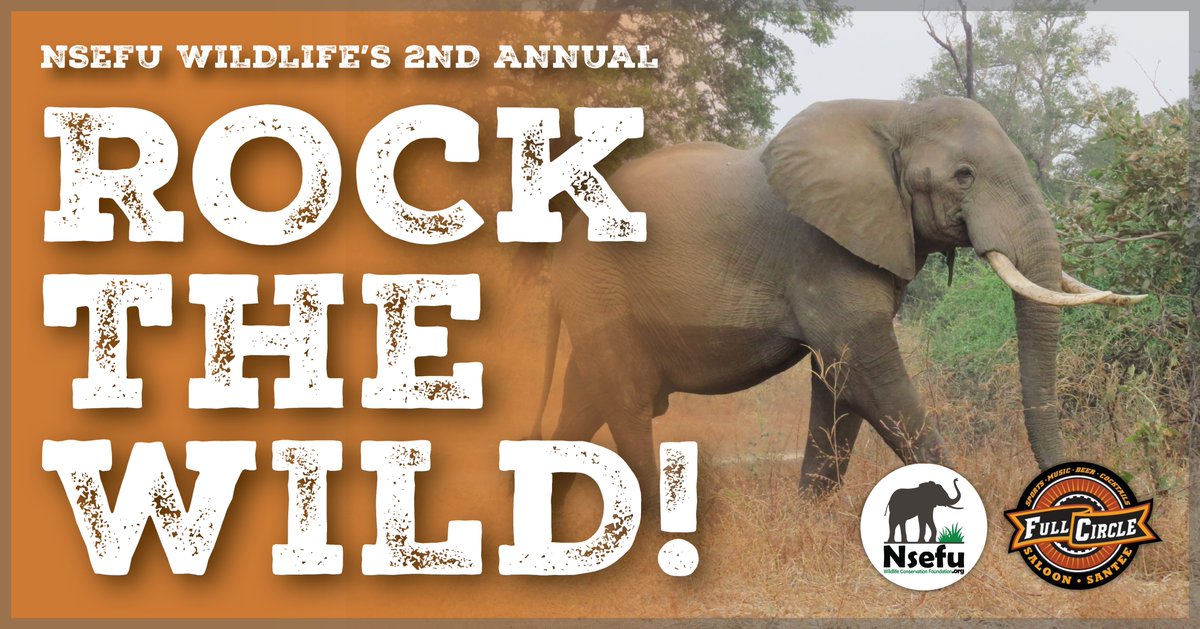 Join us today from 1-6pm at Full Circle Saloon for an afternoon of great music benefiting Nsefu Wildlife! Learn more: bit.ly/RockTheWild2023 #nsefu #rockthewild #coelewis #conservation #africa #wildlife #zambia #CCnE #RoniLee #AshEaston #Psydecar #FullCircleSaloon