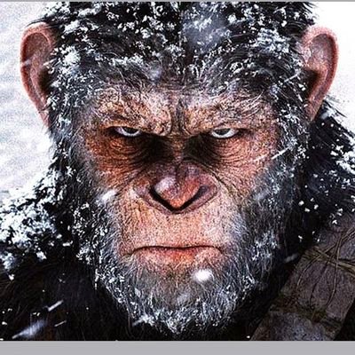 Phil Cocakoala tweet media