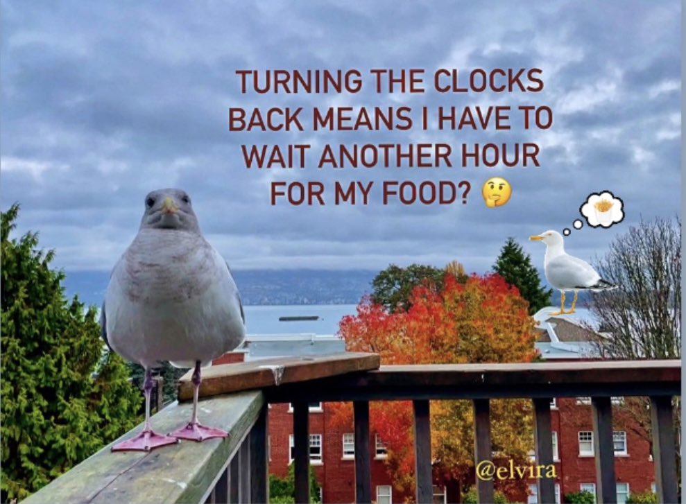 #DaylightSavingTime