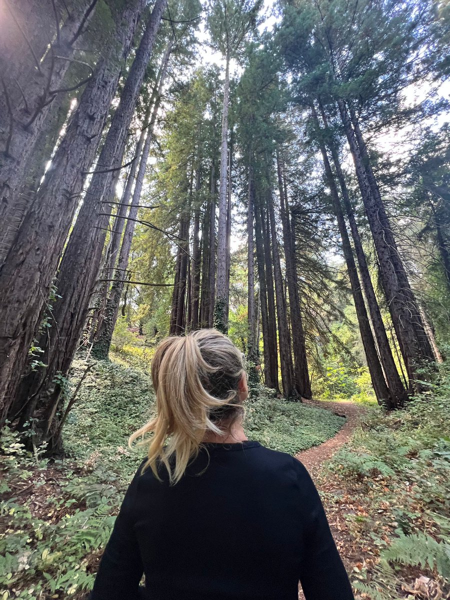 When I’m actually home, one of my favorite things to do is hike 🥾 in @JackLondonPark—especially when the weather is absolutely perfect. I mean, just LOOK 👀 at the light through those trees! 🌲 #SelfCareSunday #CaliforniaHikes #Sonoma