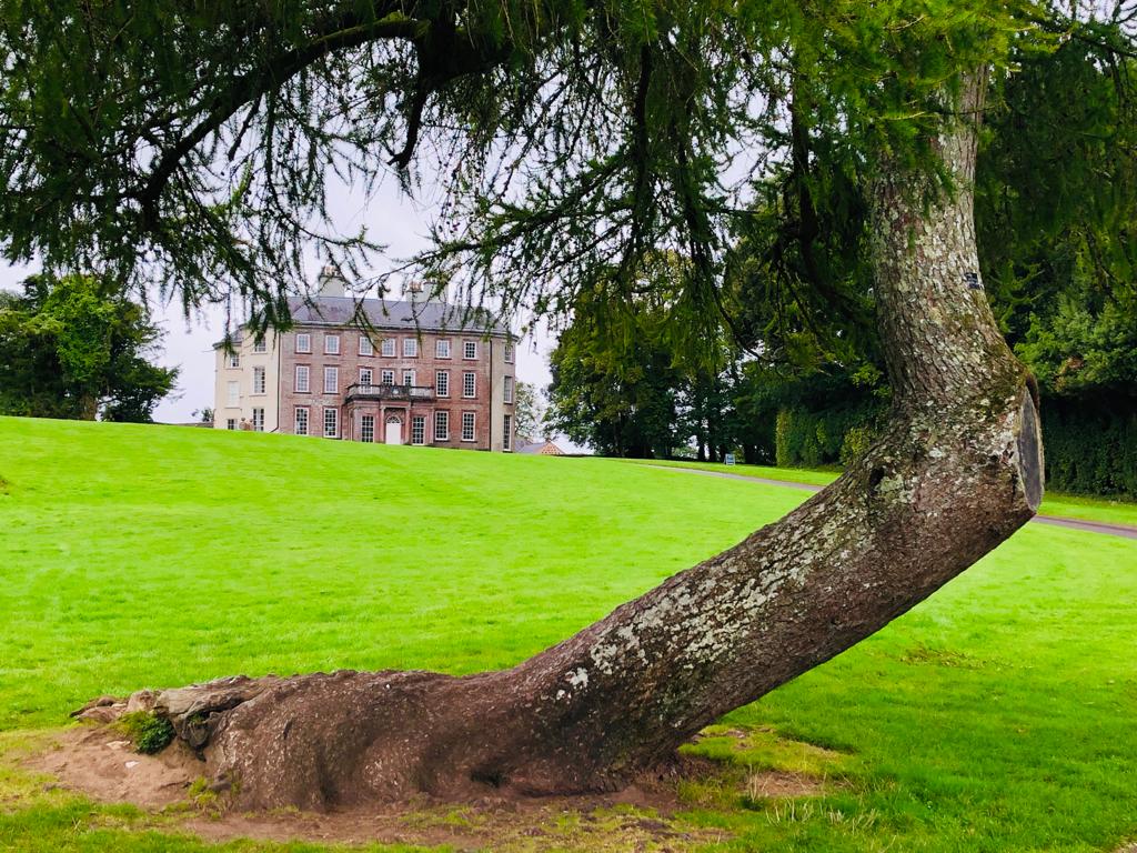 The history of the big Estate Houses of Ireland and stories of some of the families who lived in them.  Plus - why some of these big houses were burned 100 years ago - Tune into #RTENationwide on Monday, Wednesday &amp; Friday all this week on <a href="/RTEOne/">RTÉ One</a> at 7pm <a href="/rte/">RTÉ</a> <a href="/HeritageHubIRE/">The Heritage Council</a> RT