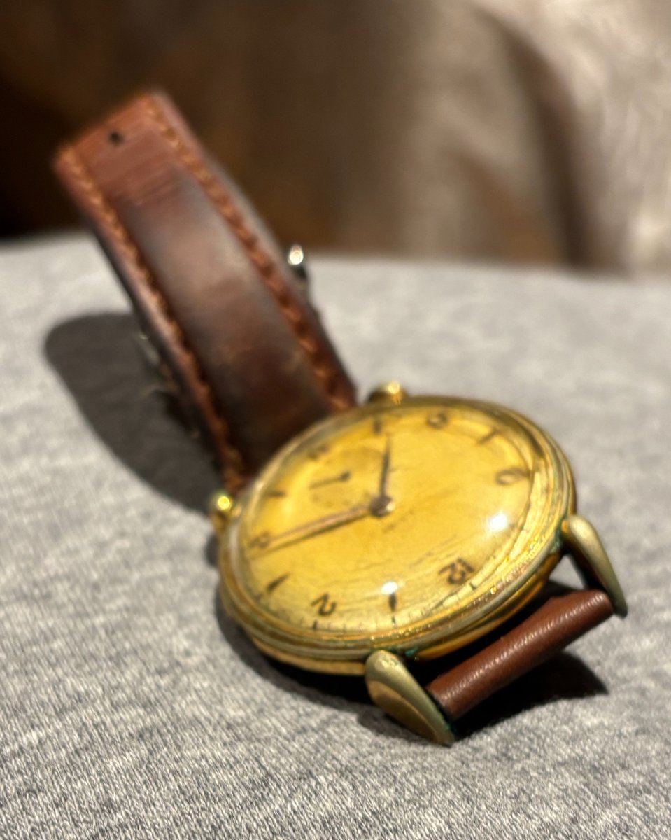 Maria José tweet media