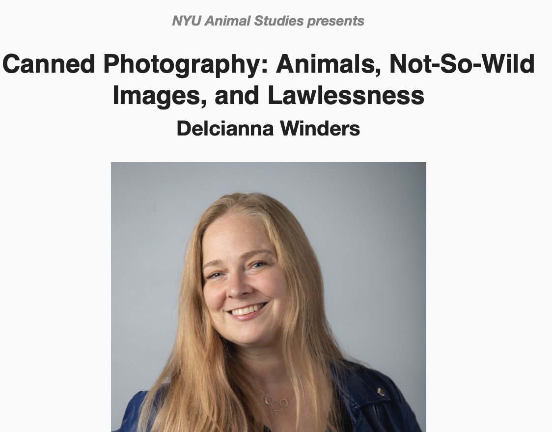 ASA Animals&Society (@animals_society) on Twitter photo <a href="/NYU_ASI/">NYU Animal Studies</a> will be hosting an online talk by <a href="/DelciannaW/">Professor Delcianna (Delci) Winders</a> on November 17 @ 12pm ET. The talk will expose the rampant practice of "canned photography." Register here: nyu.zoom.us/webinar/regist… <a href="/NYU_ASI/">NYU Animal Studies</a> will be hosting an online talk by <a href="/DelciannaW/">Professor Delcianna (Delci) Winders</a> on November 17 @ 12pm ET. The talk will expose the rampant practice of "canned photography." Register here: nyu.zoom.us/webinar/regist…