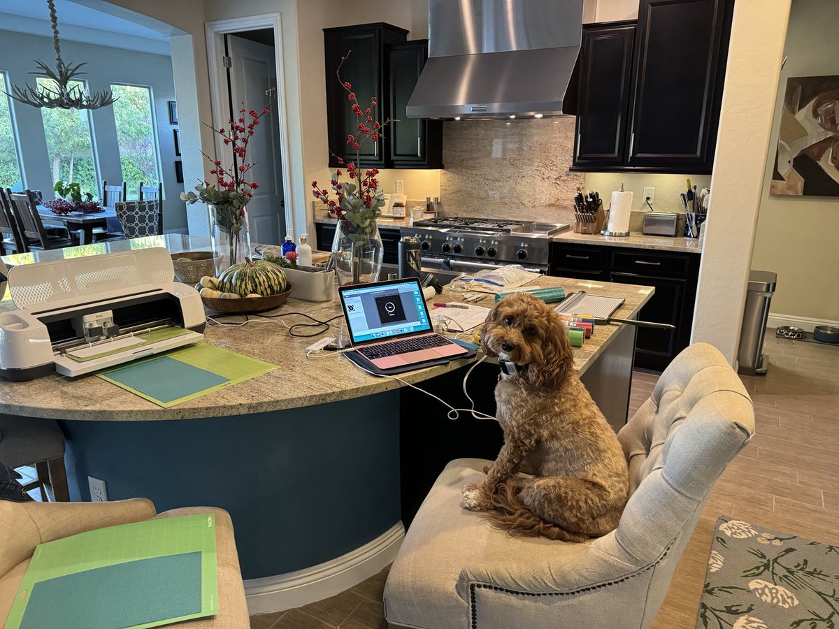 Carson working hard to get ⁦<a href="/nvassemblydems/">Assembly Democrats</a>⁩ elected in 2024! #craftedcampaignswag