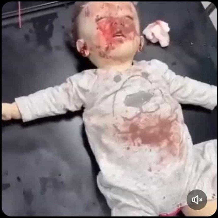 SemihNurioglu's tweet photo. #StaatsräsonTötet #KeinBlutFürSchuld https://t.co/XhcG9to1Gp
