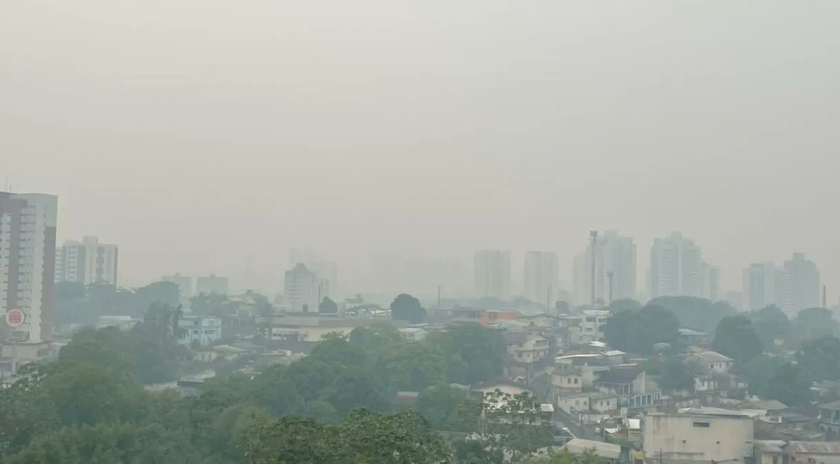 se eu fosse fala o que estar acontecendo, será que ia resolver alguma coisa, estamos sofrendo com o calor ate ai da pra suportamos, mas sermos sufocados vivos, ai só pedido misericórdia, Deus pra manda chuva onde tem queimada,  por que está difícil pra respira🥺