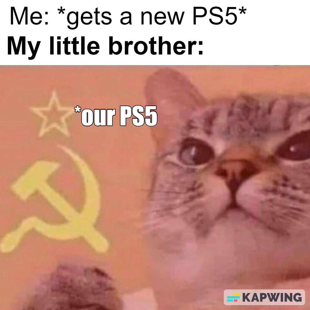 aadonispack's tweet photo. Our PS5 #Memes https://t.co/XWWsTO34ap