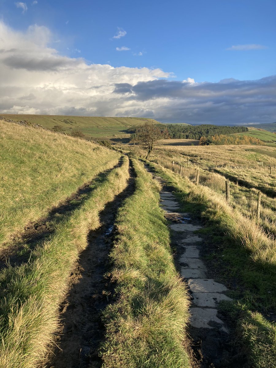 funnypenny's tweet photo. Looking at the Scout Moor windmills from afar. Quarry ramble for a change, along West Pennine Way exploring The Valley of Stone. #granequarries #RossendaleWay #WestPennineWay #LancashireWay #OswaldtwistleMoor https://t.co/AI9AMfJTdn