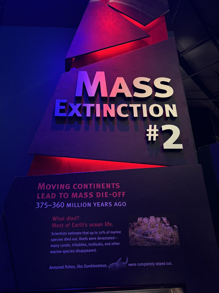 Mass extinction….. 2!!!!