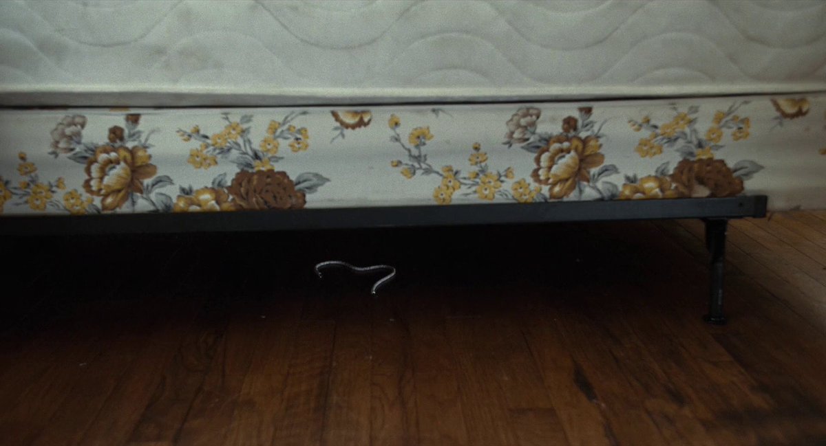 pussyrifle's tweet image. moving into my own apartment at 19 🥳 can’t wait to call it home