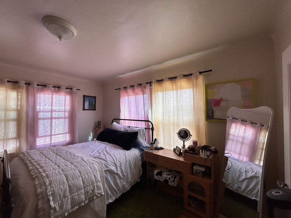 capybara apologist tweet media