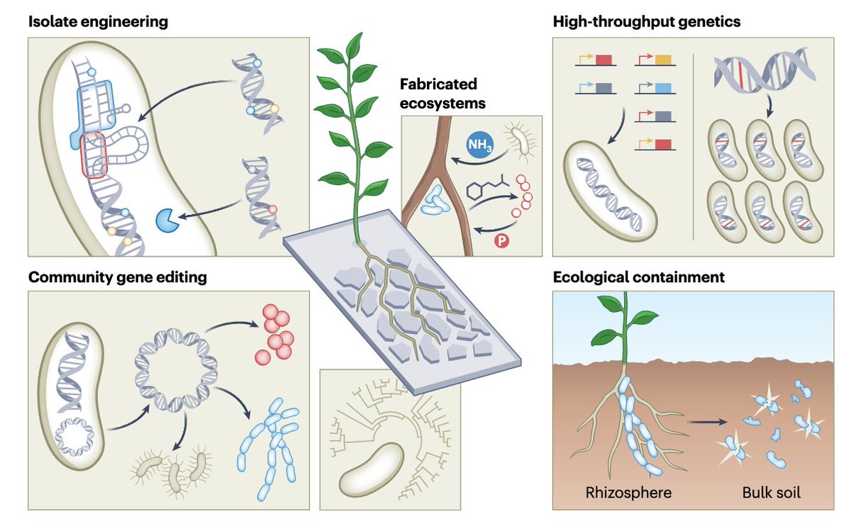 Víctor de Lorenzo tweet media
