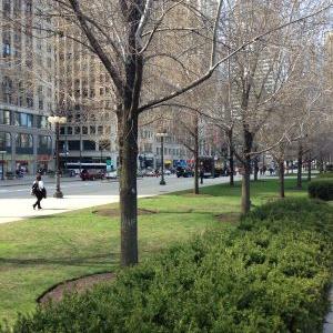 hatice gökmen tweet media