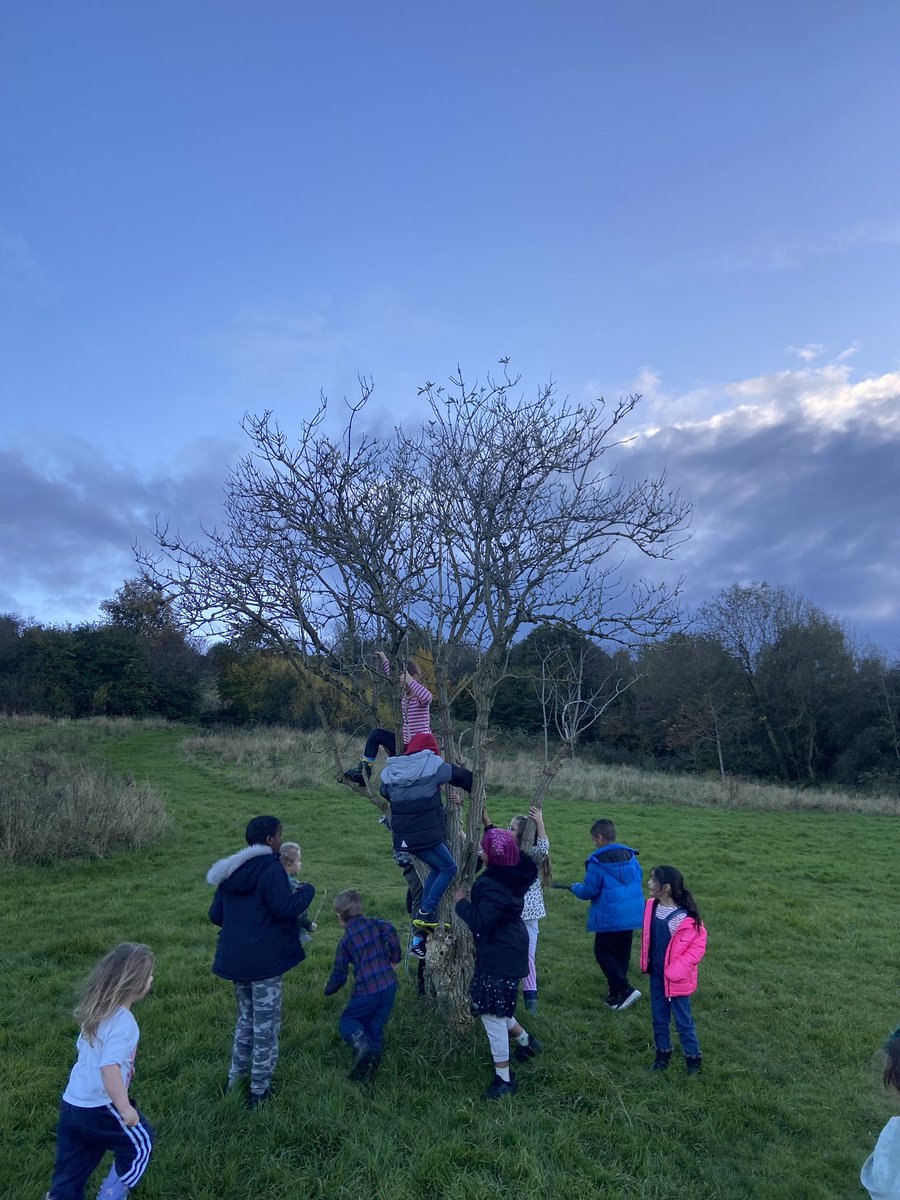 street_space_'s tweet photo. Had the best time at our #TORCHWALK activating an unused snicket connecting Frizinghall to Heaton Woods. This avo we took 65 locals most of whom discovered this route & patch of meadow for the 1st time today 🔦 #natureconnection @together_nature @bradfordmdc
#PathwaystoNature https://t.co/0C9hvVagsh