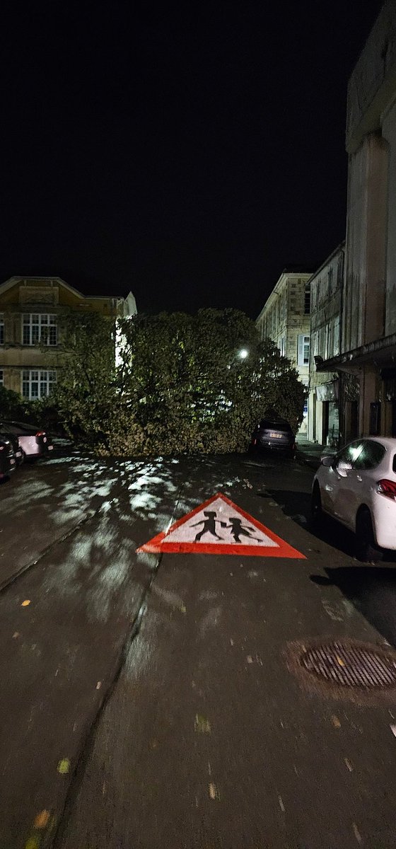 REMAX_immo's tweet photo. 🔴🔵Tempête Domingos à Rochefort beaucoup d'arbres sont tombés

#tempeteDomingos #rochefort #TempeteRochefort https://t.co/yV44pzNtAL