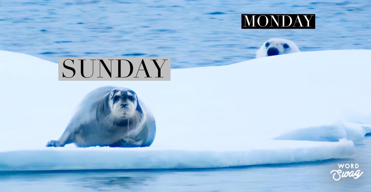 elementalvisual's tweet image. 