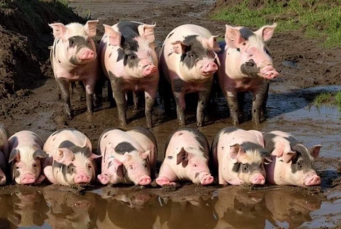 Ukifunga macho unaona nini