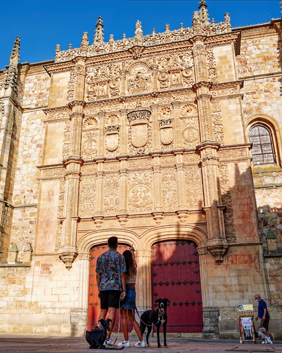 Una fachada que sigue encandilando a quienes en ella posan la mirada, generación tras generación ✨

#TurismoDeSalamanca #UniversidadDeSalamanca #PatioDeEscuelas