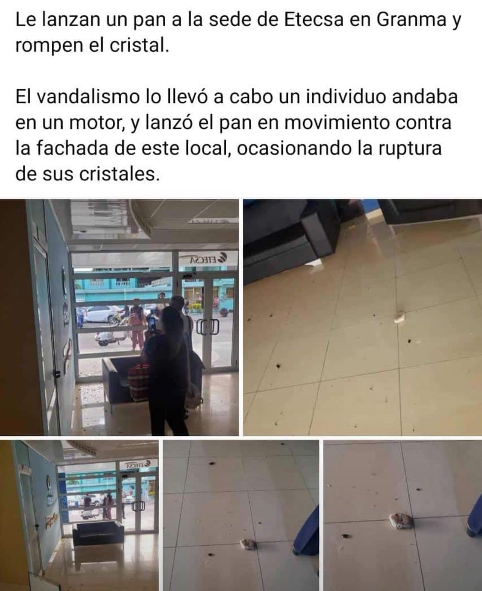 Atentado con un pan 😹