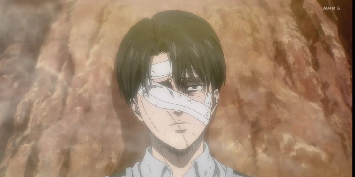 Daily levihan tweet media