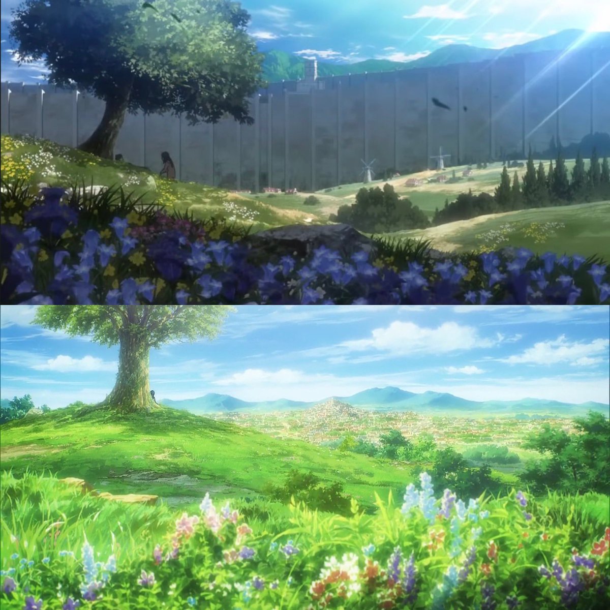 cactuzz4nf's tweet photo. let us meet again in a world without walls https://t.co/5IdJnHsTwL