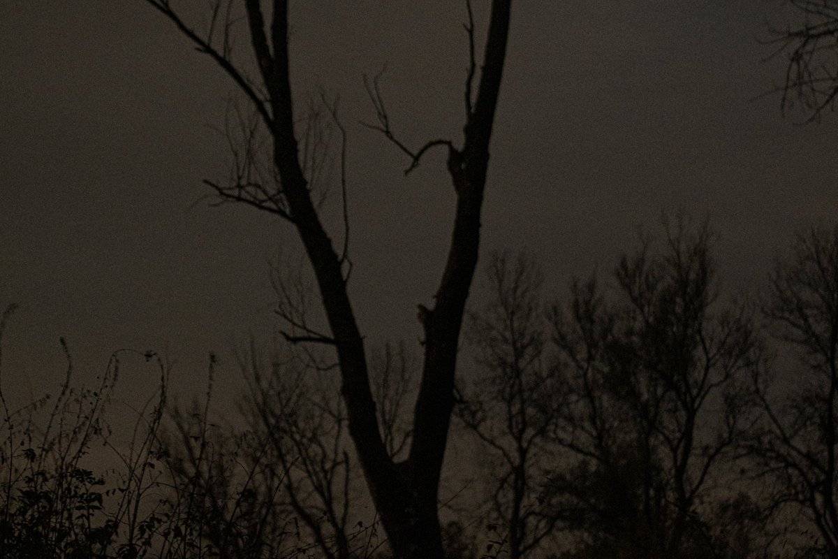 mosers01's tweet image. another set from last sunday