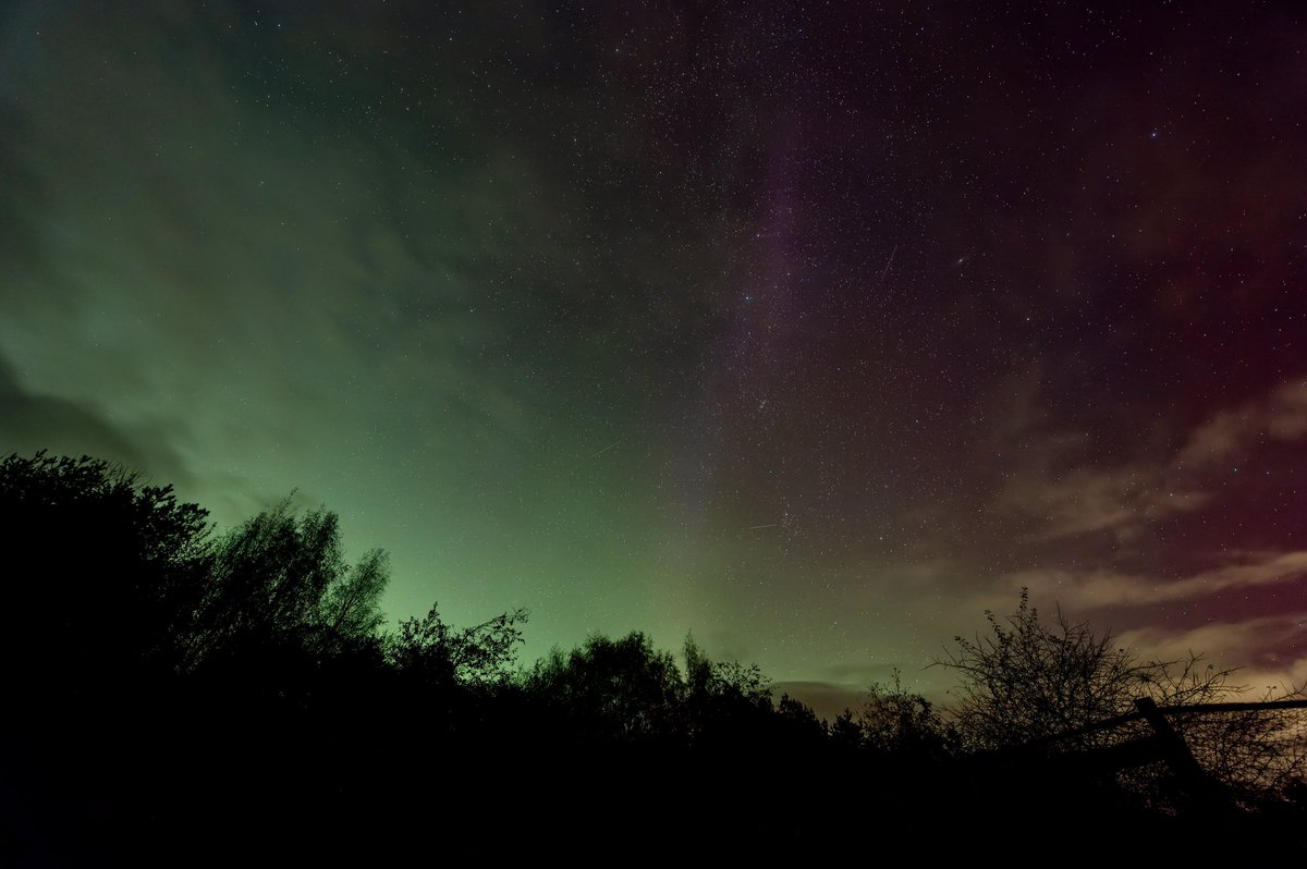 Cath Livingstone(@tivadiva.bsky.social) tweet media