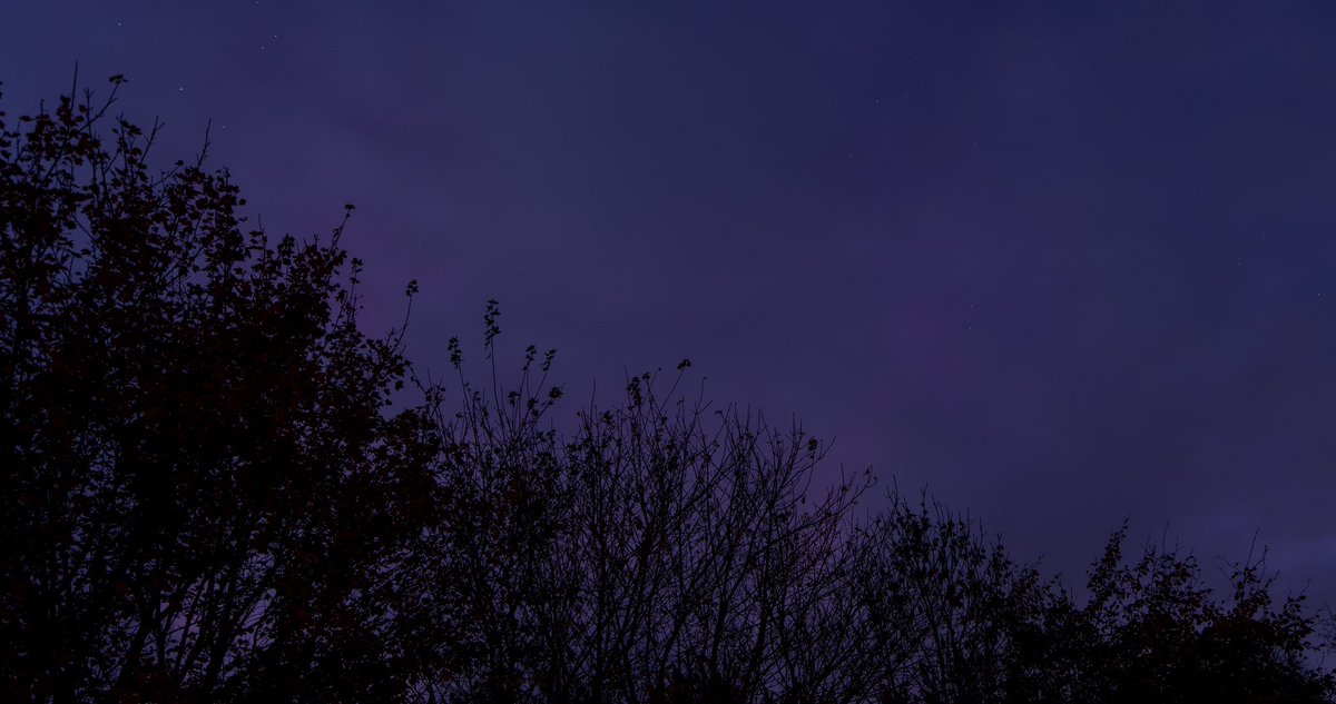 Cath Livingstone(@tivadiva.bsky.social) tweet media