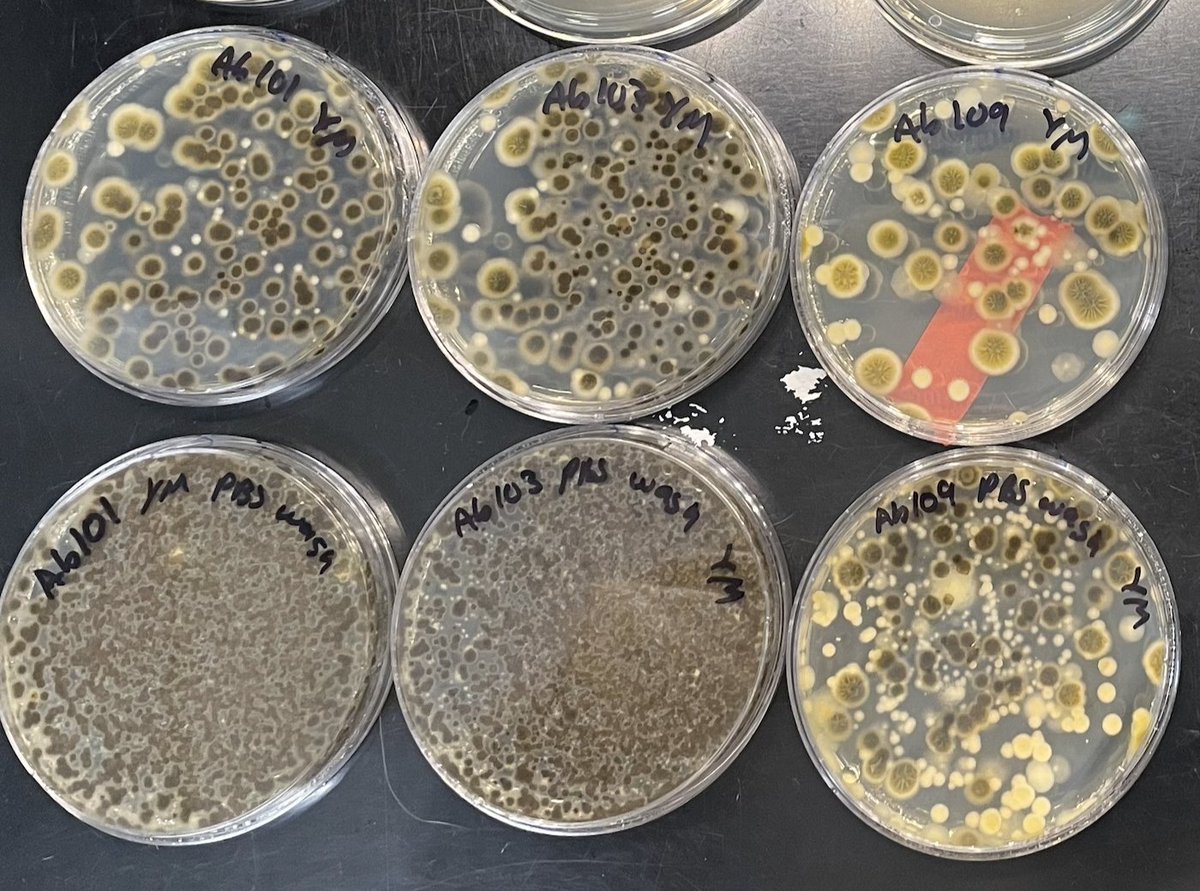 Shawn Christensen 🏳️‍⚧️ tweet media