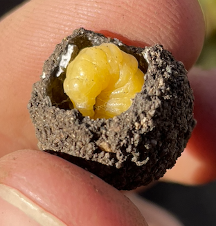 Shawn Christensen 🏳️‍⚧️ tweet media