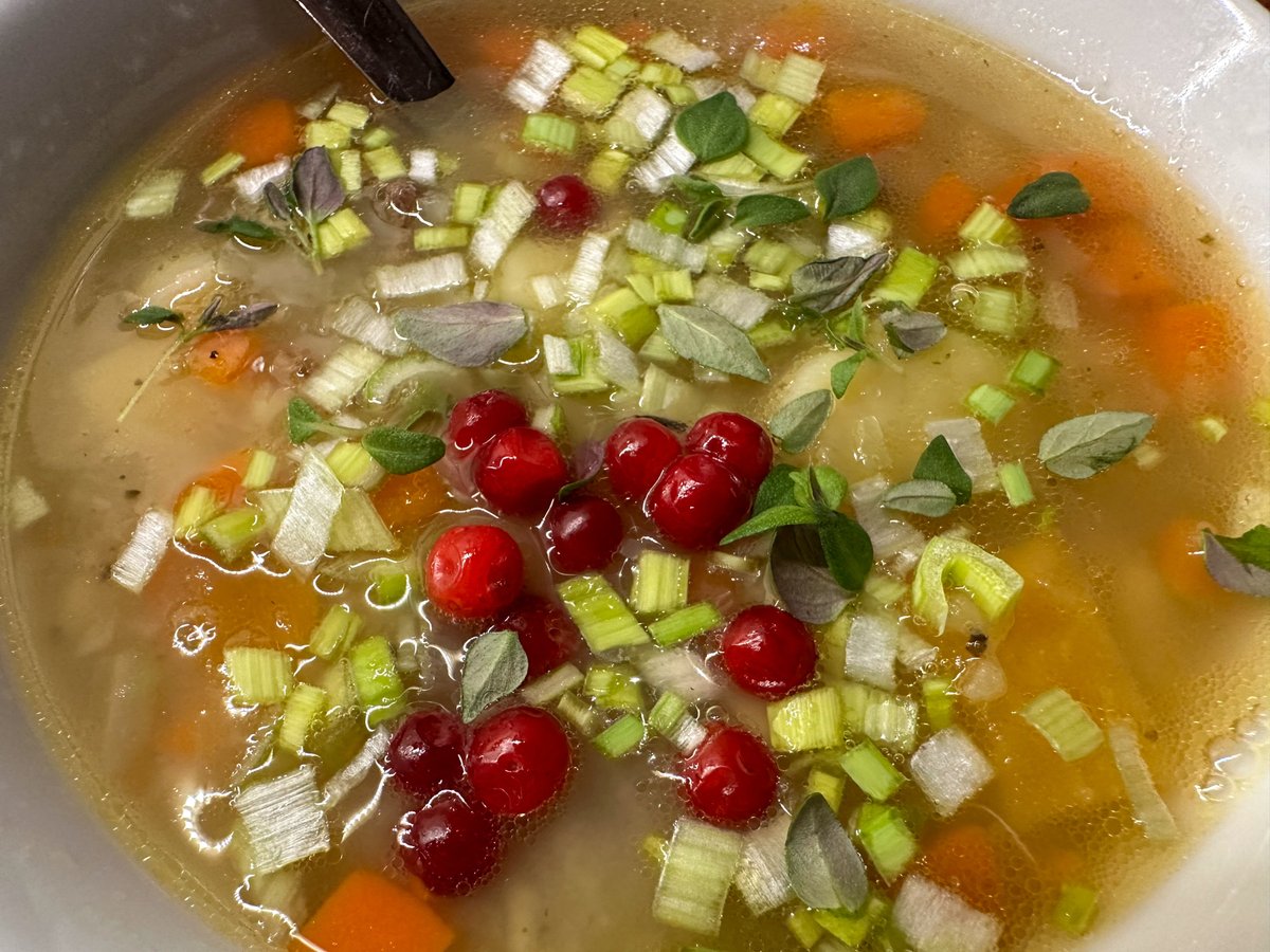 WorldSeaExplor1's tweet photo. Our homemade reindeer soup, sprinkled with lingonberries is an adventure for your taste buds! 🍲✨ https://t.co/EUTH9fFREf