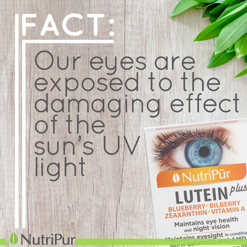 Fact: Our eyes are exposed to the damaging effect of the sun's UV light #uvlight #sundamage #electronicdevice #electronicscreens #eyedamage #lutein #zeaxanthin #Maintainseyesight bit.ly/2pkXdaV