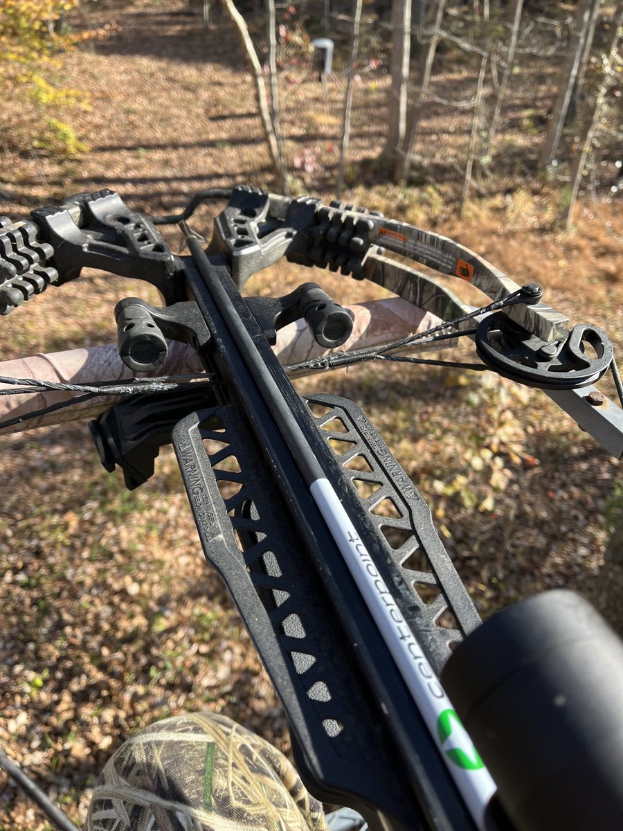 scott_husband's tweet photo. Just got in the stand this afternoon! https://t.co/dndZ6M76ZH