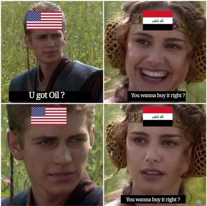 Angry Cats tweet media