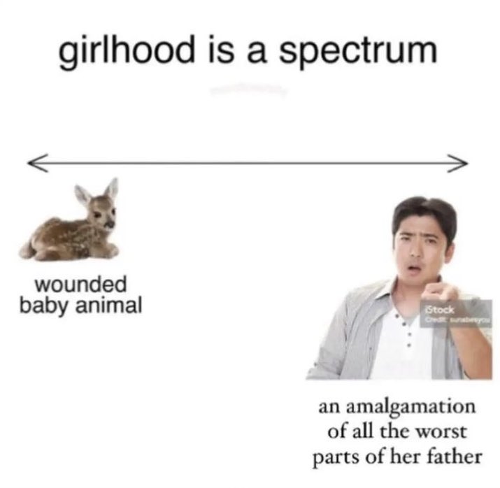 ✧ (@northstardoll) on Twitter photo 