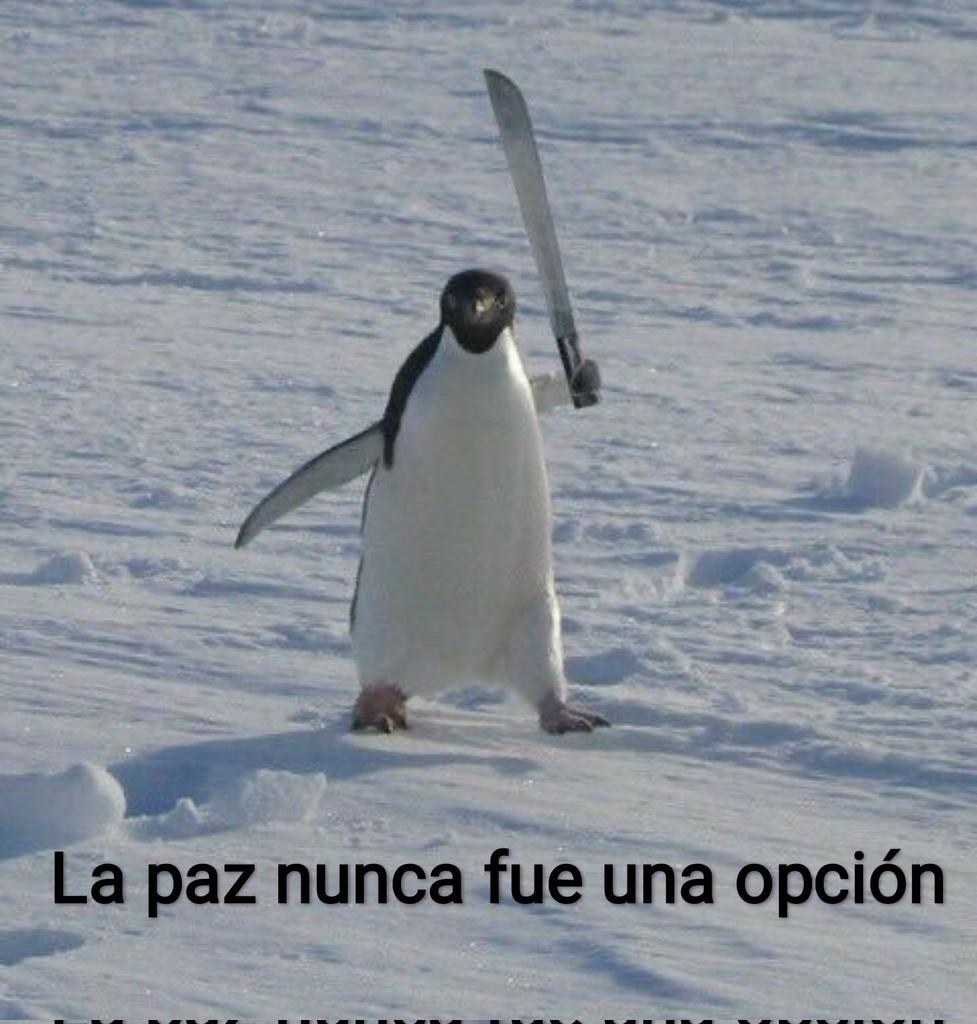 MarySu_2002's tweet photo. Guilherme Abel Rocha, los chilenos no perdonamos. Adam Levine después de mirarnos en menos nunca más pudo activar los comentarios. https://t.co/wA1OjaS5sX