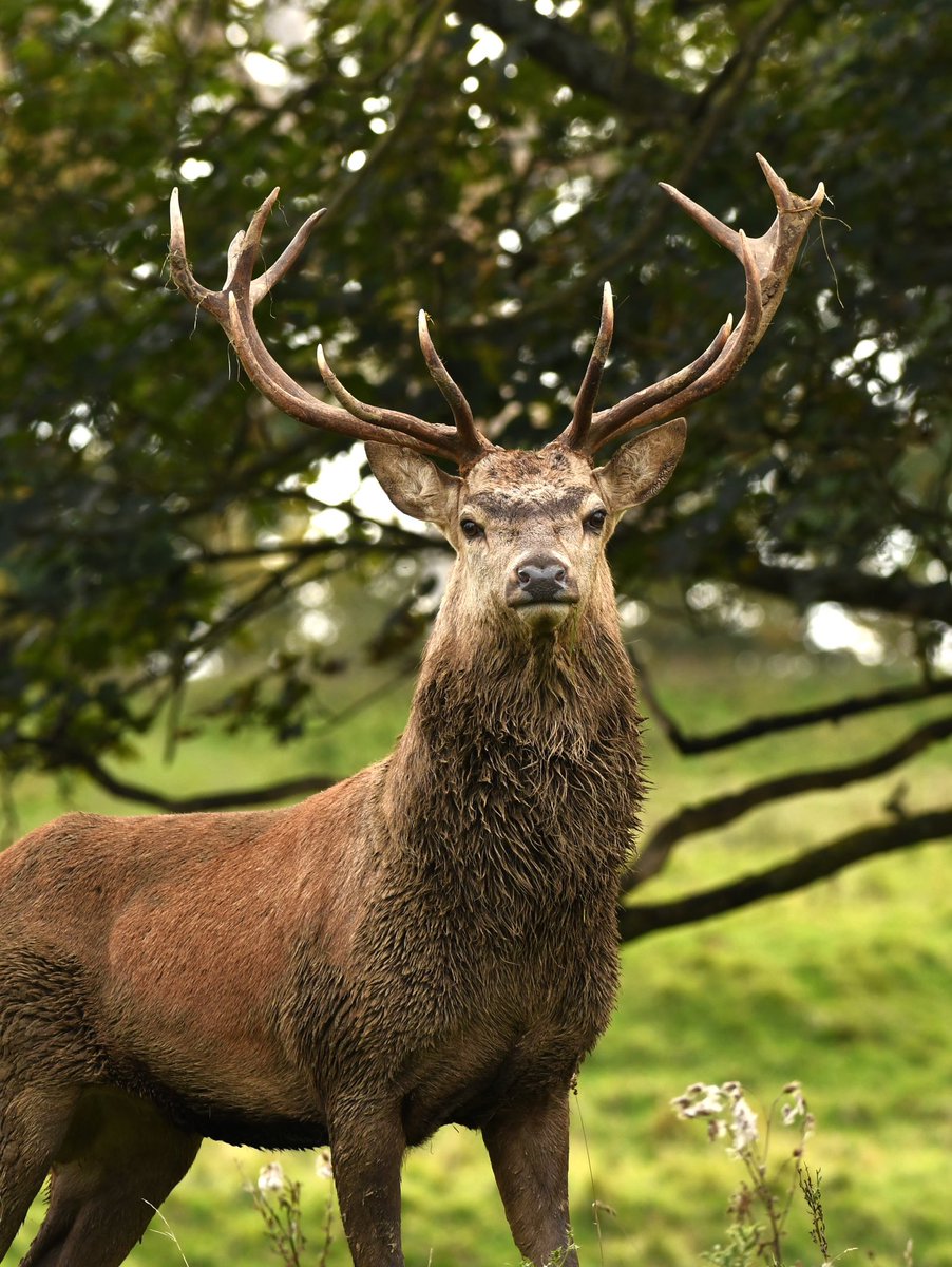 SUNSET VIEW HOLIDAY COTTAGE (@bidebermill) on Twitter photo 